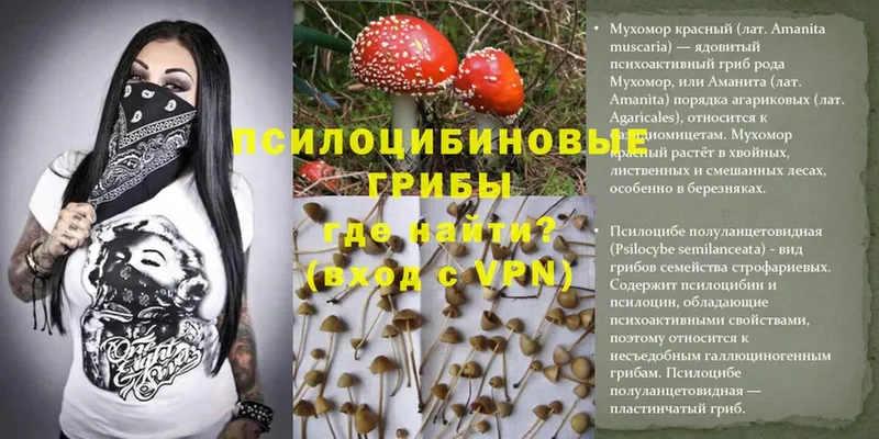 Галлюциногенные грибы MAGIC MUSHROOMS  МЕГА как войти  Северодвинск 